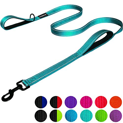 Book Cover Dog Leash 6ft Long - Traffic Padded Two Handle - Heavy Duty - Double Handles Lead for Training Control - 2 Handle Leashes for Large Dogs or Medium Dogs - Reflective Pet Leash Dual Handle (Teal)