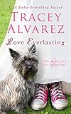 Love Everlasting: (A small town romance)
