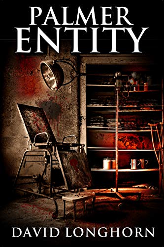 Book Cover Palmer Entity: Supernatural Suspense with Scary & Horrifying Monsters (Asylum Series Book 2)