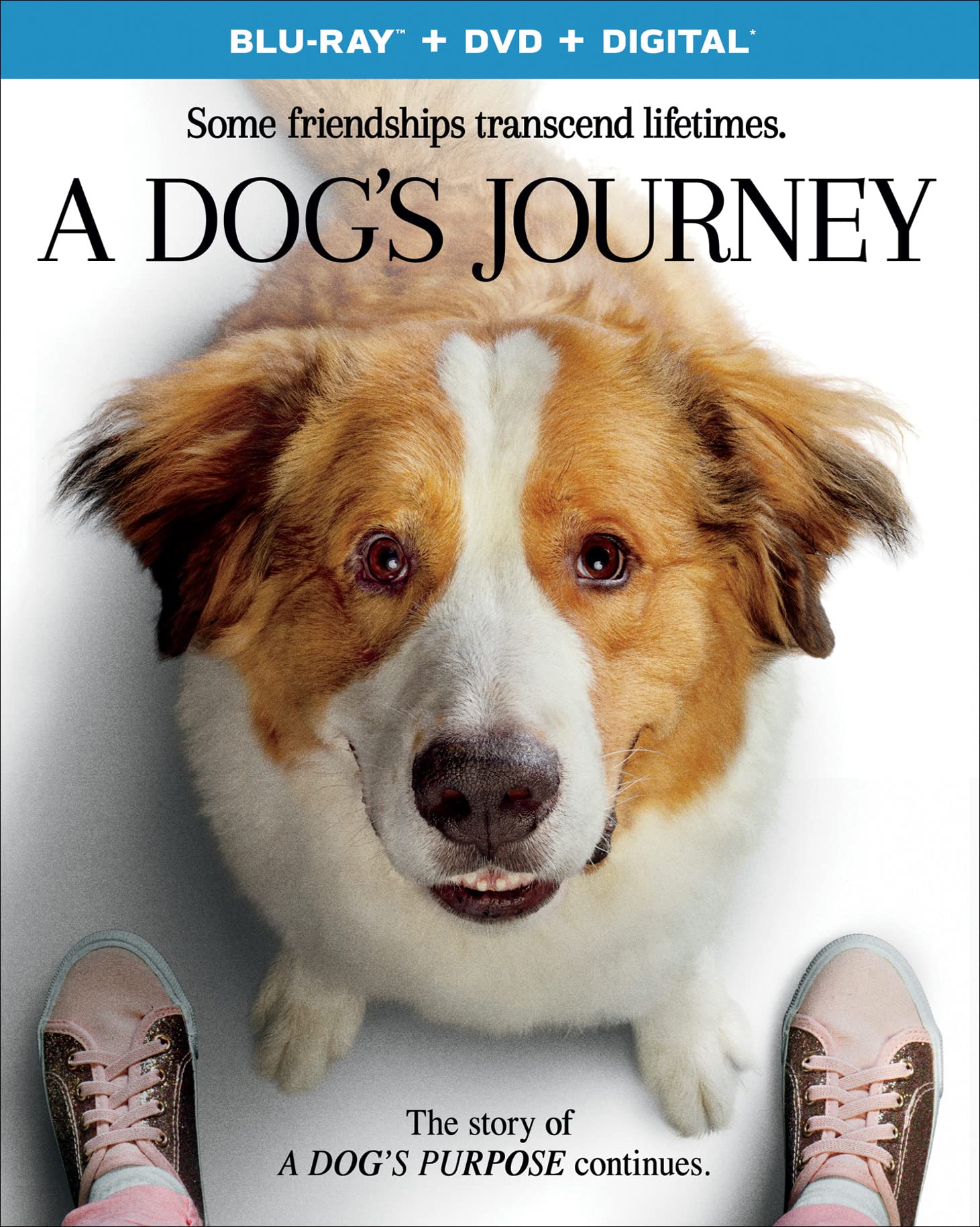 Book Cover A Dog's Journey [Blu-ray]