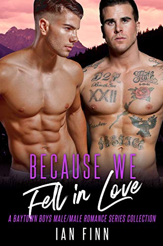 Book Cover Because We Fell in Love: A Baytown Boys Male/Male Romance Series Collection