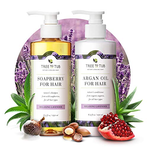 Gentle Argan Oil Shampoo & Conditioner by Tree to Tubâ€”pH 5.5 Balanced Moisturizing Duo with Wild Soapberry & Organic Moroccan Oil - Nourishes Dry Hair & Very Sensitive Scalp, Sulfate Free (2 Pack)