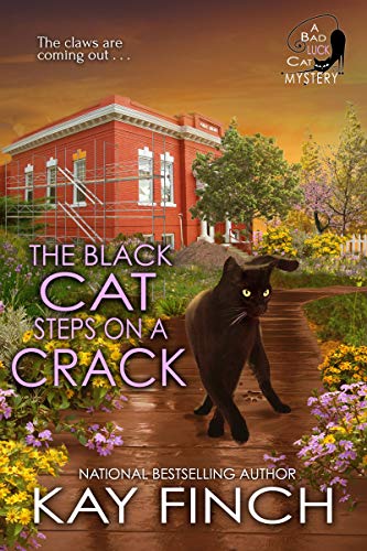 The Black Cat Steps on a Crack (A Bad Luck Cat Mystery Book 4)