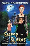 Sweep - Stakes (Wicked Witches of Coventry Book 6)