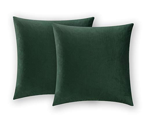 Book Cover COMFORTLAND 2 Pack Decorative Throw Pillow Covers, Square Soft Luxury Velvet Cushion Covers, 18x18 Solid Pillowcase Set for Sofa Couch Bed Chair Car Home Decor, Army Green