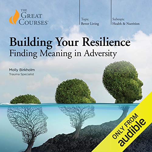 Building Your Resilience: Finding Meaning in Adversity