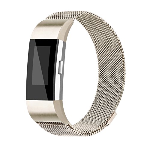 iGK Replacement Bands Compatible for Fitbit Charge 2, Stainless Steel Metal Bracelet with Unique Magnet Clasp Champagne Small