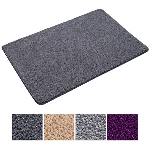 LOCHAS Soft Microfiber Bathroom Rug Non Slip Bath Mat 24 x 35 Inch, Water Absorbent Bath Rugs for Bathroom Indoor Outdoor, Washable Shower Carpets, Easy Dry, Dark Gray