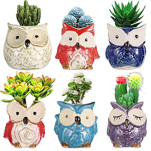 Owl Succulent Pots Cute Animal Succulent Plants Ceramic Flowing Glaze Flower Planter Pots Base Serial Set Cactus Plant Pots Container Planters Bonsai with A Hole Perfect Gift Idea-(6pcs)