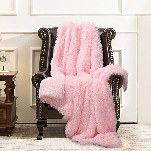 Faux Fur Throw Blanket, Super Soft Lightweight Shaggy Fuzzy Blanket Warm Cozy Plush Fluffy Decorative Blanket for Couch,Bed, Chair(Light Blue, 60"x80")