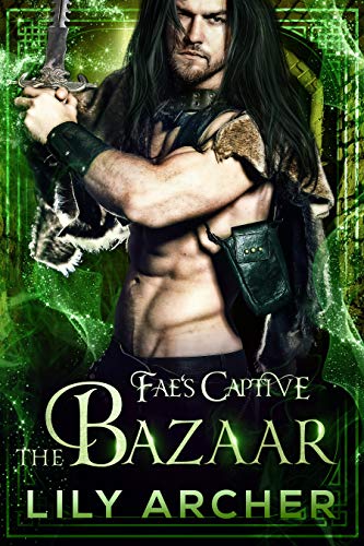 Book Cover The Bazaar (Fae's Captive Book 6)