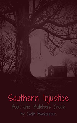 Book Cover Southern Injustice (Buther's Creek Book 1)
