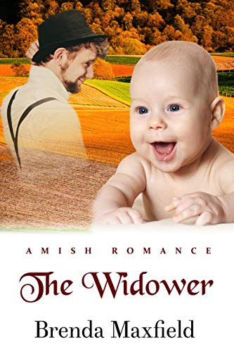 Book Cover The Widower (Amy's Story Book 3)
