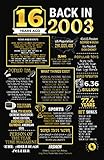 Pink Pixie Studio Years Poster (2003-16 Years)