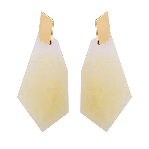 Acrylic Earrings for Women Statement Tortoise Shell Geometric Resin Drop Dangle Earrings Fashion Jewelry for Women