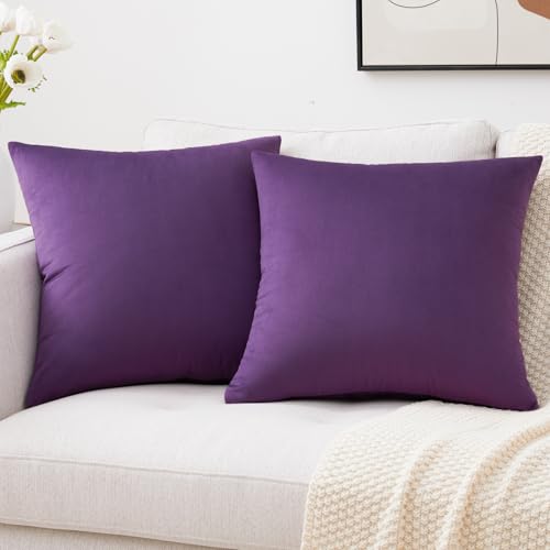 Mixhug Decorative Throw Pillow Covers, Velvet Cushion Covers, Solid Throw Pillow Cases for Couch and Bed Pillows, Purple, 20 x 20 Inches, Set of 2