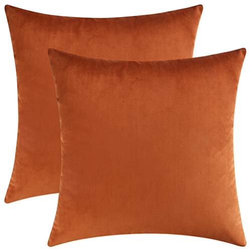 Book Cover Mixhug Decorative Throw Pillow Covers, Velvet Cushion Covers, Solid Throw Pillow Cases for Couch and Bed Pillows, Burnt Orange, 20 x 20 Inches, Set of 2