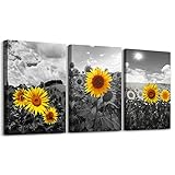 Black and white Pastoral scenery sunflower flowers Canvas Wall Art for Living Room family Bedroom wall art painting Home Decoration,Bathroom Wall Decor kitchen wall pictures artwork,16x12 3 piece set
