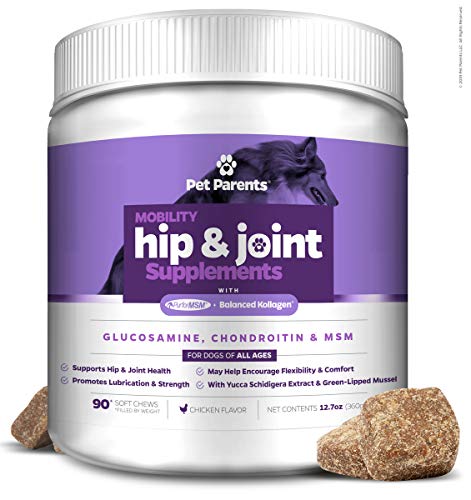 Pet Parents USA Dog Joint Supplement - Glucosamine for Dogs 4g 90c - Dog Arthritis Supplement - Glucosamine Chondroitin for Dogs + MSM for Dogs & Green Lipped Mussel - Hip & Joint Supplement for Dogs