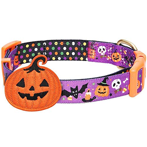 Blueberry Pet Halloween Pumpkin Party Designer Adjustable Dog Collar with Detachable Decoration, Small, Neck 12"-16"