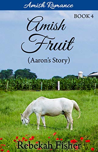 Amish Romance: Aaron's Story (Amish Fruit Book 4)