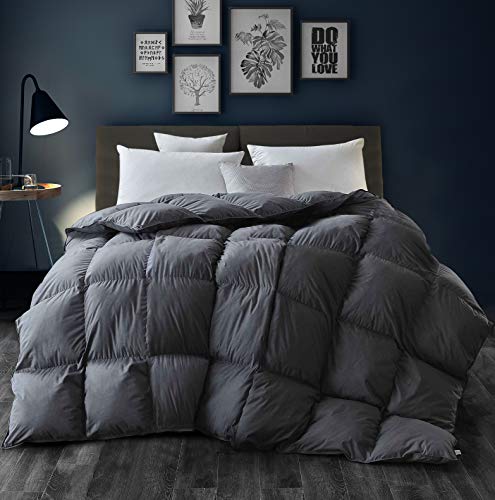 Book Cover Three Geese Goose Down Comforter King Size Warmth Duvet Insert - All Season Down Feather Filling - Luxury 100% Egyptian Cotton 1000 Thread Count 750 Fill Power with Tabs