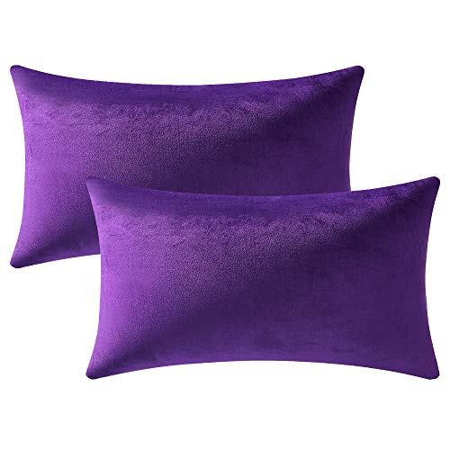 DEZENE 18x18 Throw Pillow Cases Purple: 2 Pack Cozy Soft Velvet Square Decorative Pillow Covers for Farmhouse Home Decor