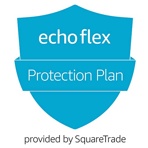 1-Year Protection Plan plus Accident Protection for Echo Flex (2019 release, delivered via e-mail)