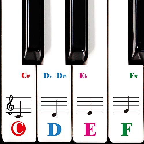 Book Cover Piano Keyboard Stickers Specially for 61/54/49/37 Key.Colorful Bigger Letter,Thinner Material,Transparent Removable,with Cleaning Cloth
