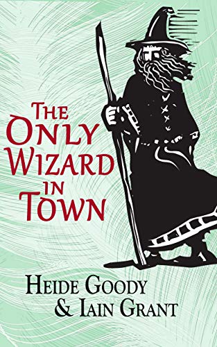 Book Cover The Only Wizard in Town (Newport Pagnall Book 2)