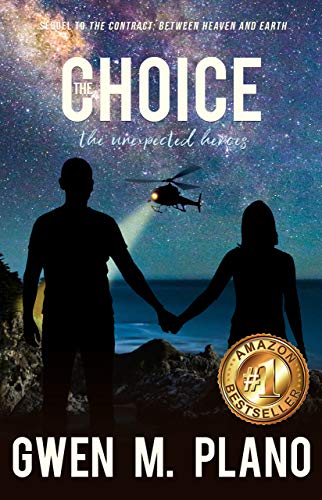 Book Cover The Choice: the unexpected heroes
