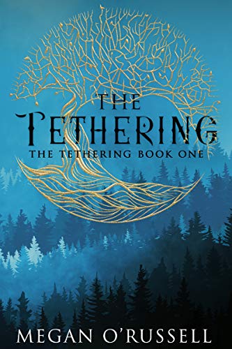Book Cover The Tethering