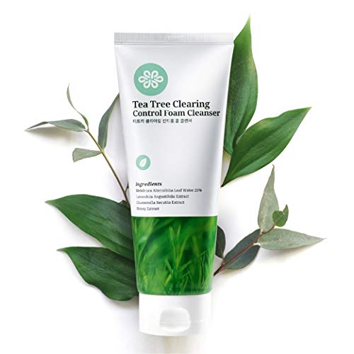 LovLuv Tea Tree Foaming Facial Cleanser, K Beauty Daily Face Wash with Natural Ingredients and Anti Aging Properties [6 Oz]