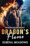 Dragon's Flame: Dragons Secret Society