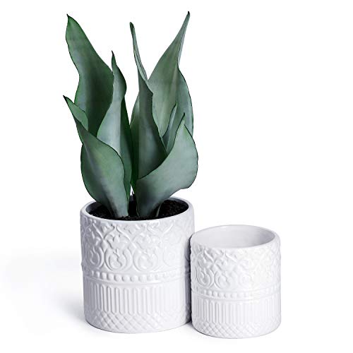 Greenaholics Plant Pots - 5.9 + 4.7 Inch Ceramic Planters with Indian Style Grain, for Indoor Plant, White, Set of 2