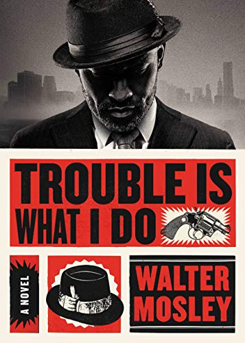 Trouble is What I Do (Leonid Mcgill Book 6)