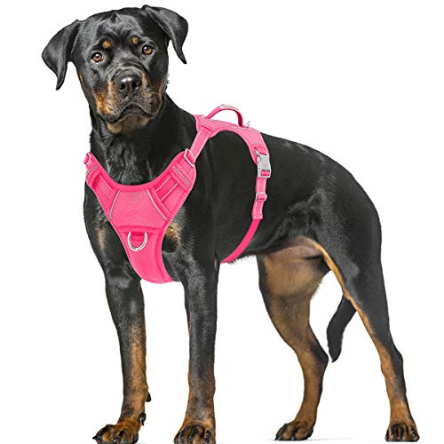 Book Cover BARKBAY No Pull Dog Harness Large Step in Reflective Dog Harness with Front Clip and Easy Control Handle for Walking Training Running with ID tag Pocket(Pink,XL)