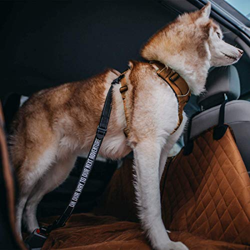 SÄKER Premium Dog Car Seatbelt – Adjustable Safety Leads Compatible with Any Dog Car Harness | Heavy Duty Seat Belt Tether That Will Never Mingle or Accidentally Come Off