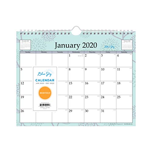 Book Cover Blue Sky 2020 Monthly Wall Calendar, Twin-Wire Binding, 11