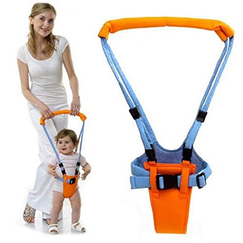 Fenido Toddler Learning Walker Suitable for Baby Children 0-2 Years Old Walkers