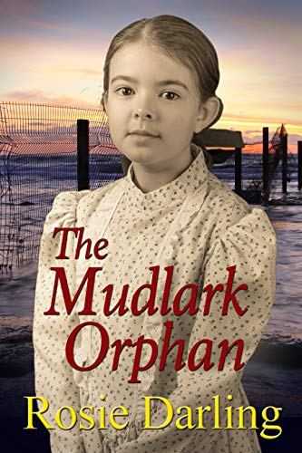 Book Cover The Mudlark Orphan