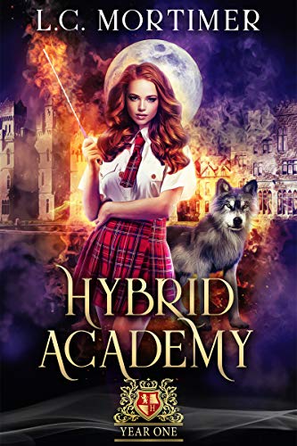 Book Cover Hybrid Academy: Year One