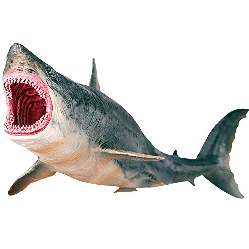 EOIVSH Large Shark Toys Megalodon, Plastic Assorted Ocean Animal Shark Figurine Realistic Sea Creature Toy Figure for Collection Gift, Bath Toy, Cake Topper