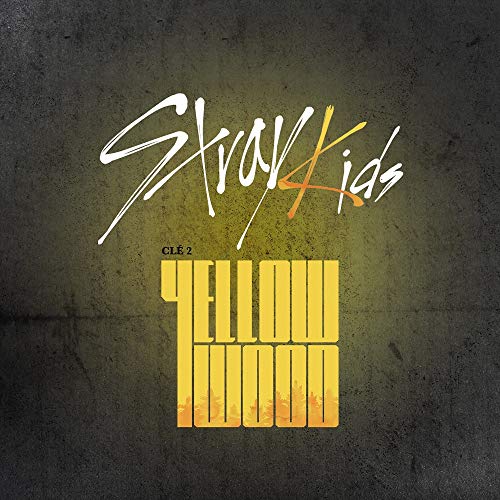 Stray Kids - Clé 2 : Yellow Wood (Special Album) [Clé 2+Yellow Wood ver. Set] 2CD+2Photobooks+6QR Photocardss+2Pre-Order Benefits+2Folded Posters+Double Side Extra Photocards Set