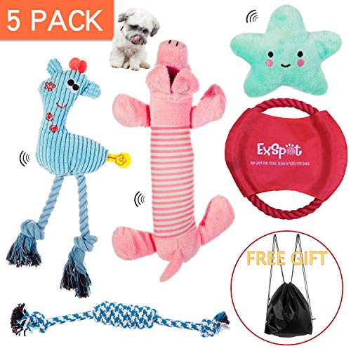 Book Cover CCQIN Puppy Toys Plush Squeak Chew Rope Toys for Small Dogs Play and Training, 5 Packs