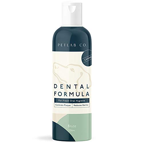 Petlab Co. Dental Wash | Dog Mouthwash & Teeth Cleaner | Dental Water Solution, Targets Plaque & Tartar | Maintains Clean Teeth & Supports Gum Health & Fresh Breath (1-Pack)