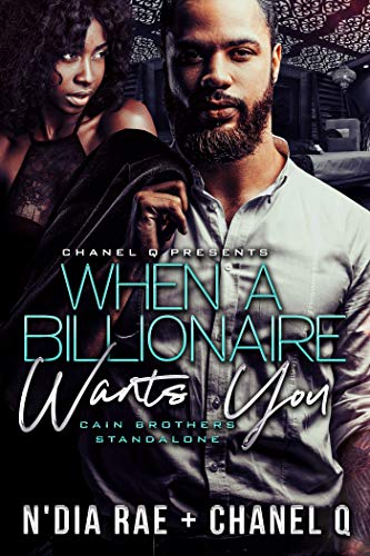 Book Cover When A Billionaire Wants You: A Standalone
