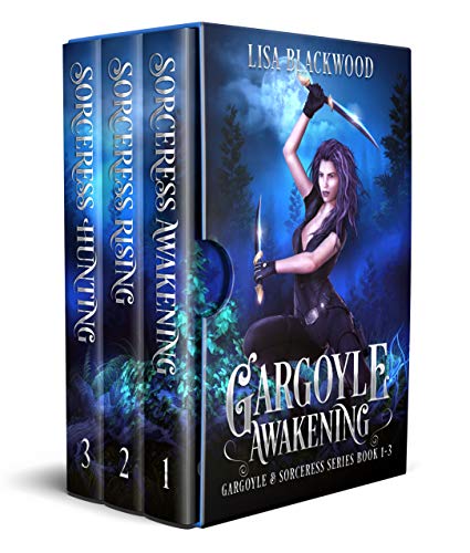 Book Cover Gargoyle Awakening (Gargoyle and Sorceress Boxset Book 1)