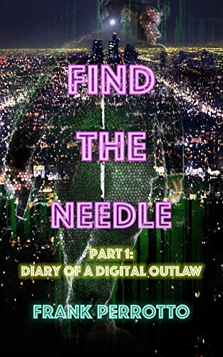 Find the Needle, Part 1: Diary of a Digital Outlaw