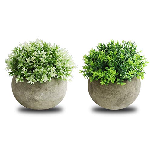Book Cover THE BLOOM TIMES 2 Pcs Fake Plant for Bathroom/Home Office Decor, Small Artificial Faux Greenery for House Decorations (Potted Plants)